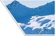 Immagine Meeting sulla neve - scuola di sci